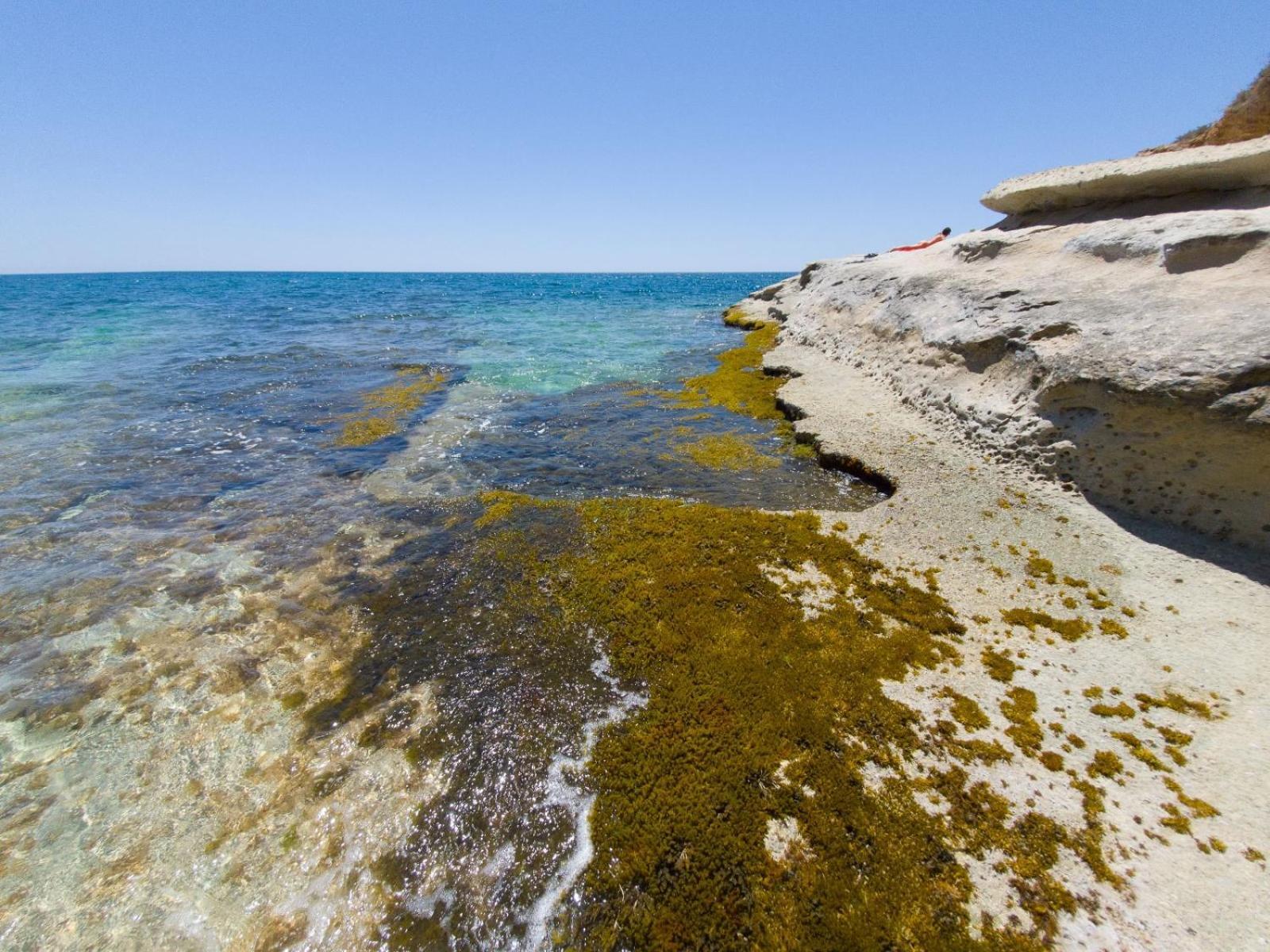 Casotto Il Carrubo, A 100 Mt Dal Mare! Villa Avola Bagian luar foto